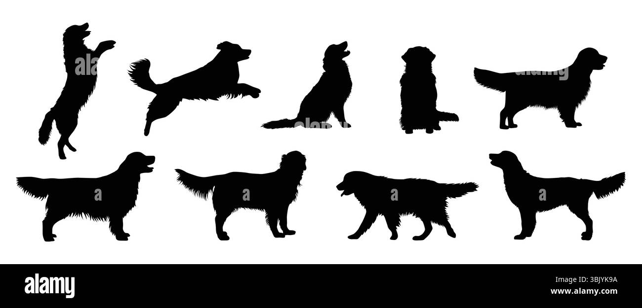 goldene Retriever-Hundesilhouette auf weißem Hintergrund Stock Vektor