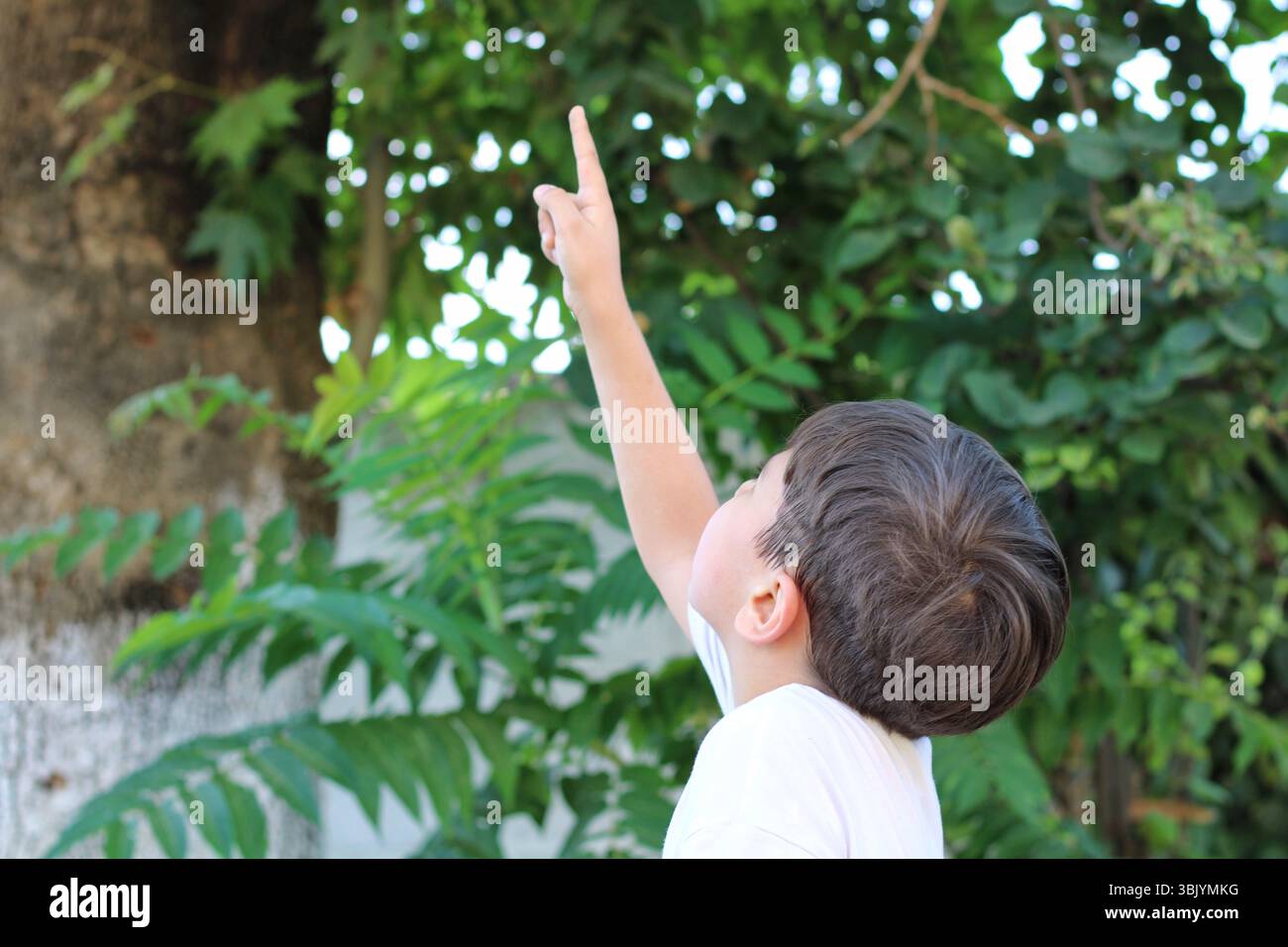 Kind zeigt nach oben, während es die Natur im Freien beobachtet. Das Konzept der Neugier, Entdeckung, Wissenschaftsvermittlung und Umwelterziehung im Kindesalter. Stockfoto