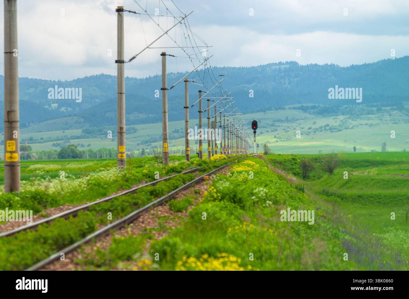 Ländliche Eisenbahn mit blauem Himmel und grünen Feldern Stockfoto