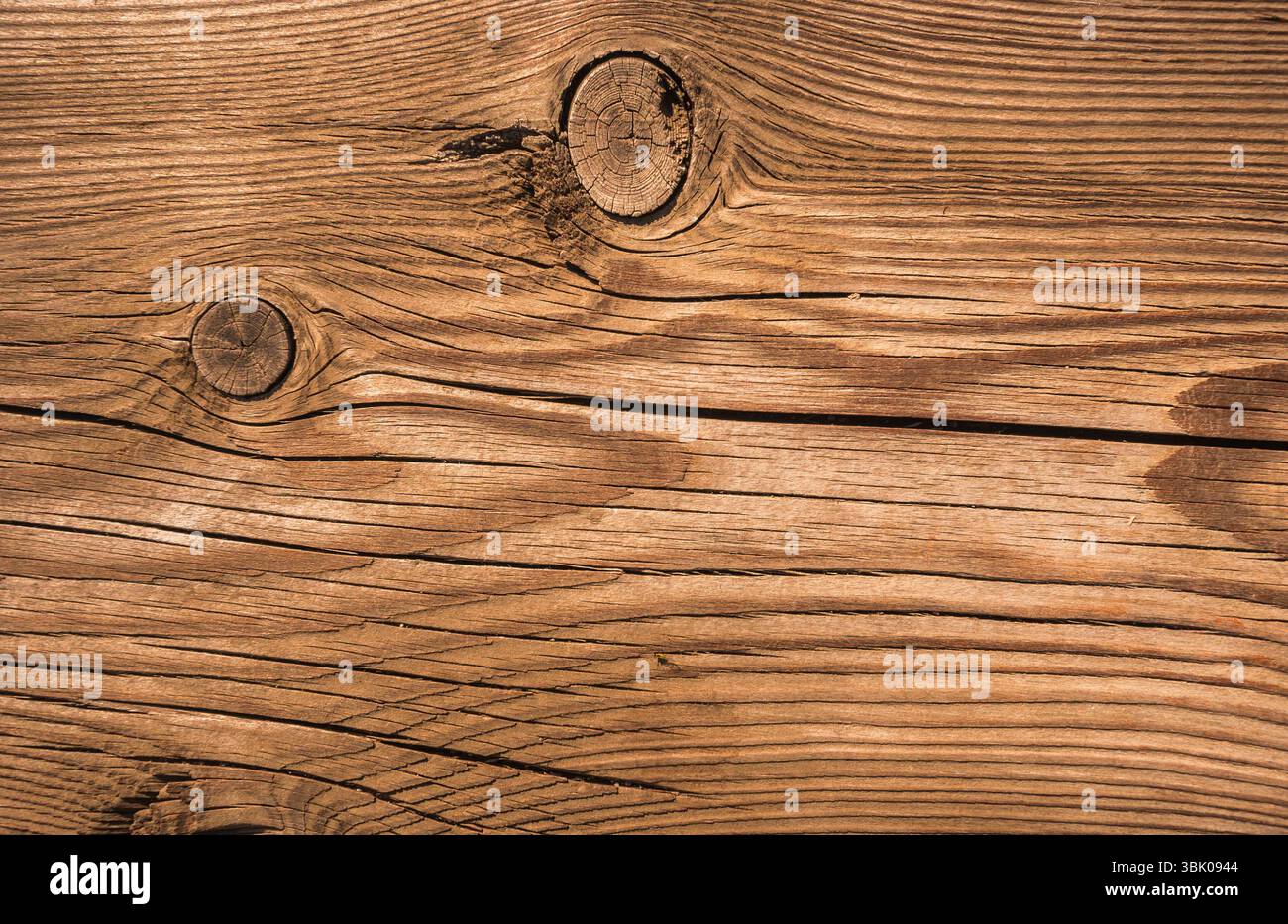 Nahaufnahme der Holzbodenplatte Stockfoto