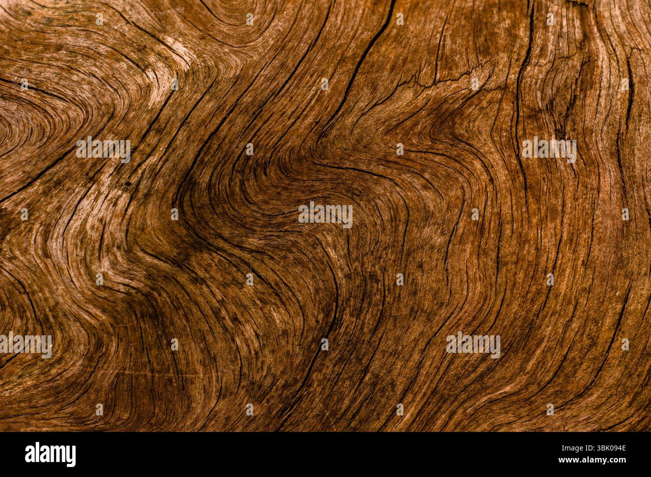 Abstrakte natürliche hölzerne Textur Hintergrund Nahaufnahme Foto Stockfoto