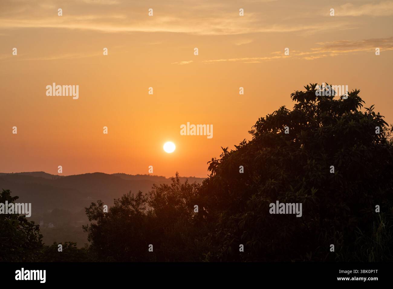 Goldener Sonnenuntergang, der ein warmes Leuchten über ferne Hügel wirft, umrahmt von der Silhouette eines üppigen Baumes. Stockfoto