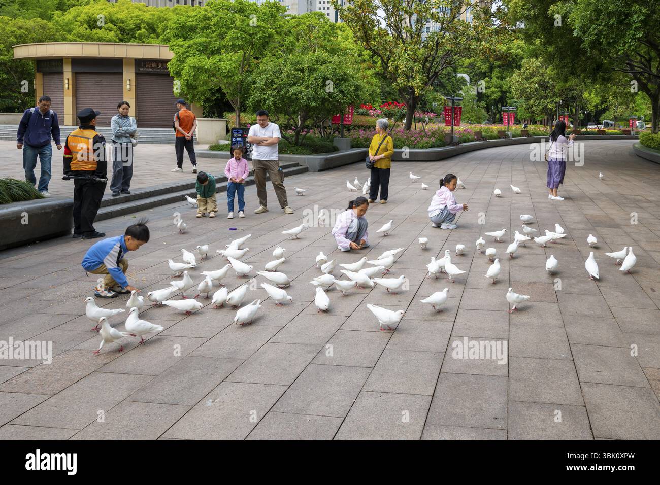 Kinder, die zahme Tauben füttern, People's Park, Square, Shanghai, Volksrepublik China Stockfoto Kinder, die zahme Tauben füttern, People's Park, Square, Shanghai, Volksrepublik China Stockfoto