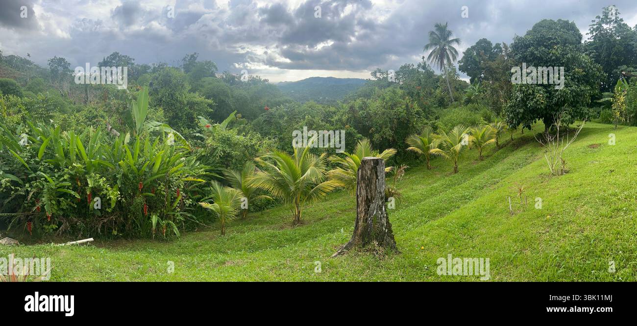 Pocket Lens, Big Beauty: My Island PR Stockfoto