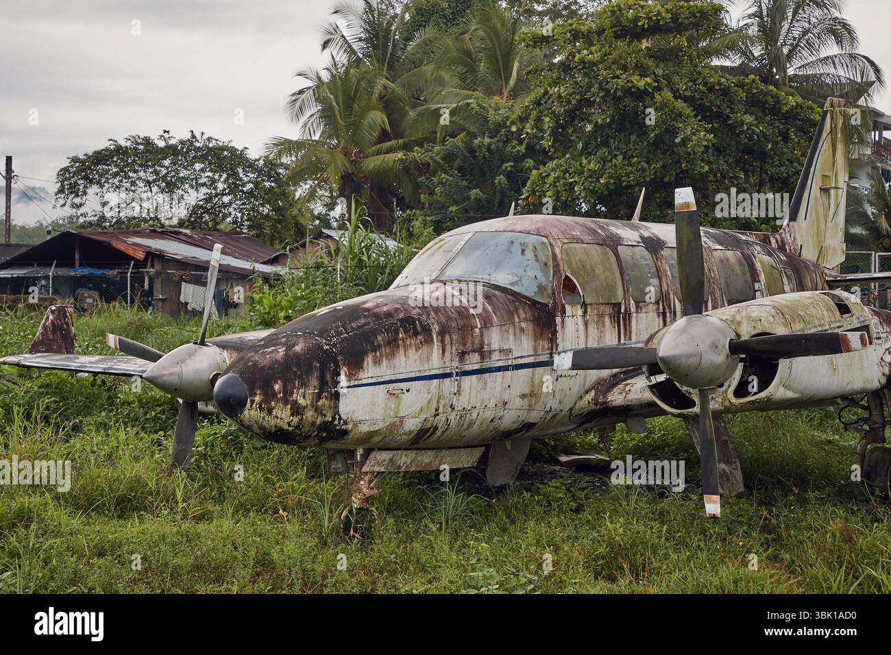 Kleines altes Flugzeug, das im Dschungel verlassen wurde Stockfoto