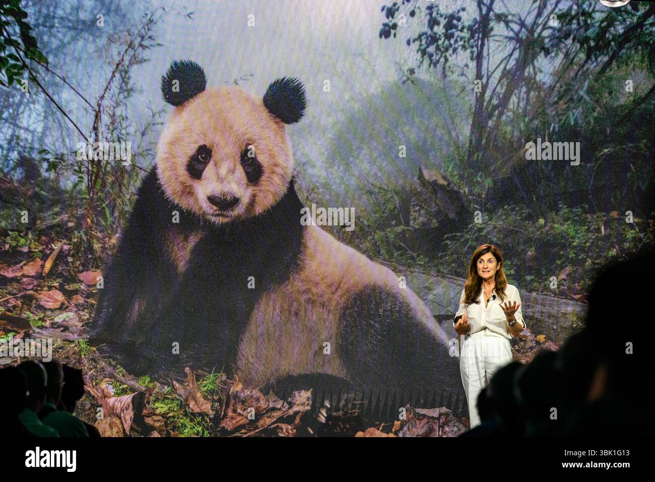 New York, USA. Juni 2025. Die US-Fotojournalistin, Dokumentarfilmerin und Pädagogin Ami Vitale hält eine Rede mit dem Titel „Wild Hope: Stories That Drive Change“ vor ihren Fotos gefährdeter Tierwelt während der Bild Expo in New York City. Quelle: Enrique Shore/Alamy Live News Stockfoto