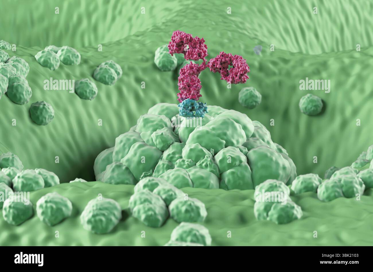 Monoklonale Antikörpertherapie beim Magenkarzinom (Magen) - Nahaufnahme 3D-Illustration Stockfoto