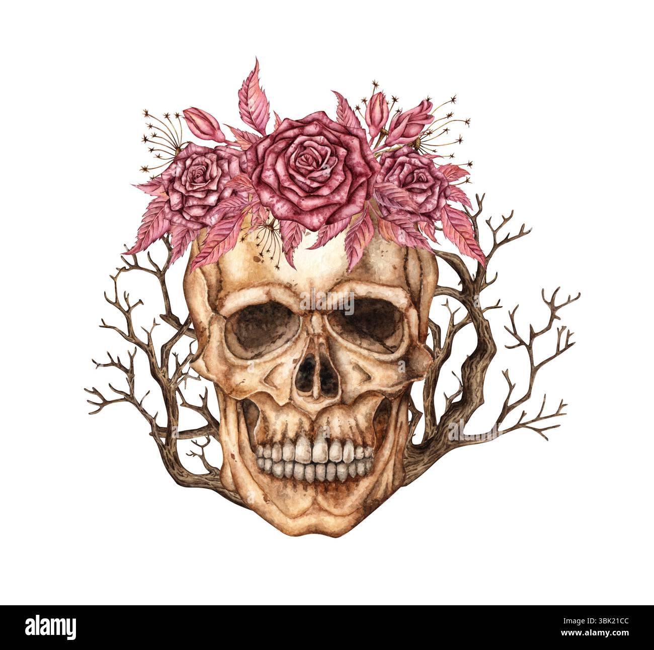 Schädelgesicht mit dunkelroten Rosen, Knospen, getrockneten Blumen und Zweigen, Bäume Aquarellillustration. Knochen im gotischen Stil. Tag tot, Halloween, Dia de lo Stockfoto
