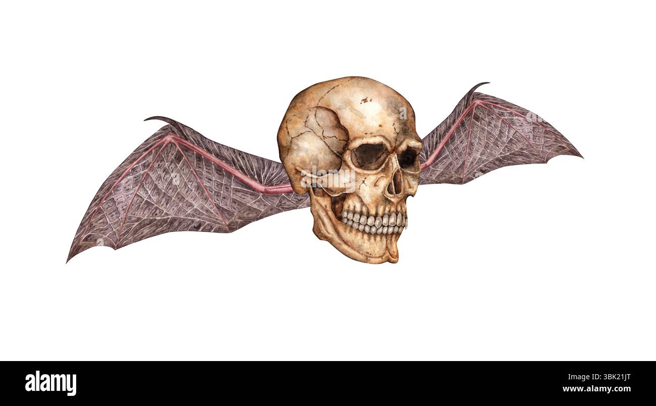 Menschliches Schädelprofil mit Fledermausflügeln Aquarellillustration. Knochen im gotischen Stil. Tag der Toten, Halloween, Dia de los muertos. Isoliert Stockfoto