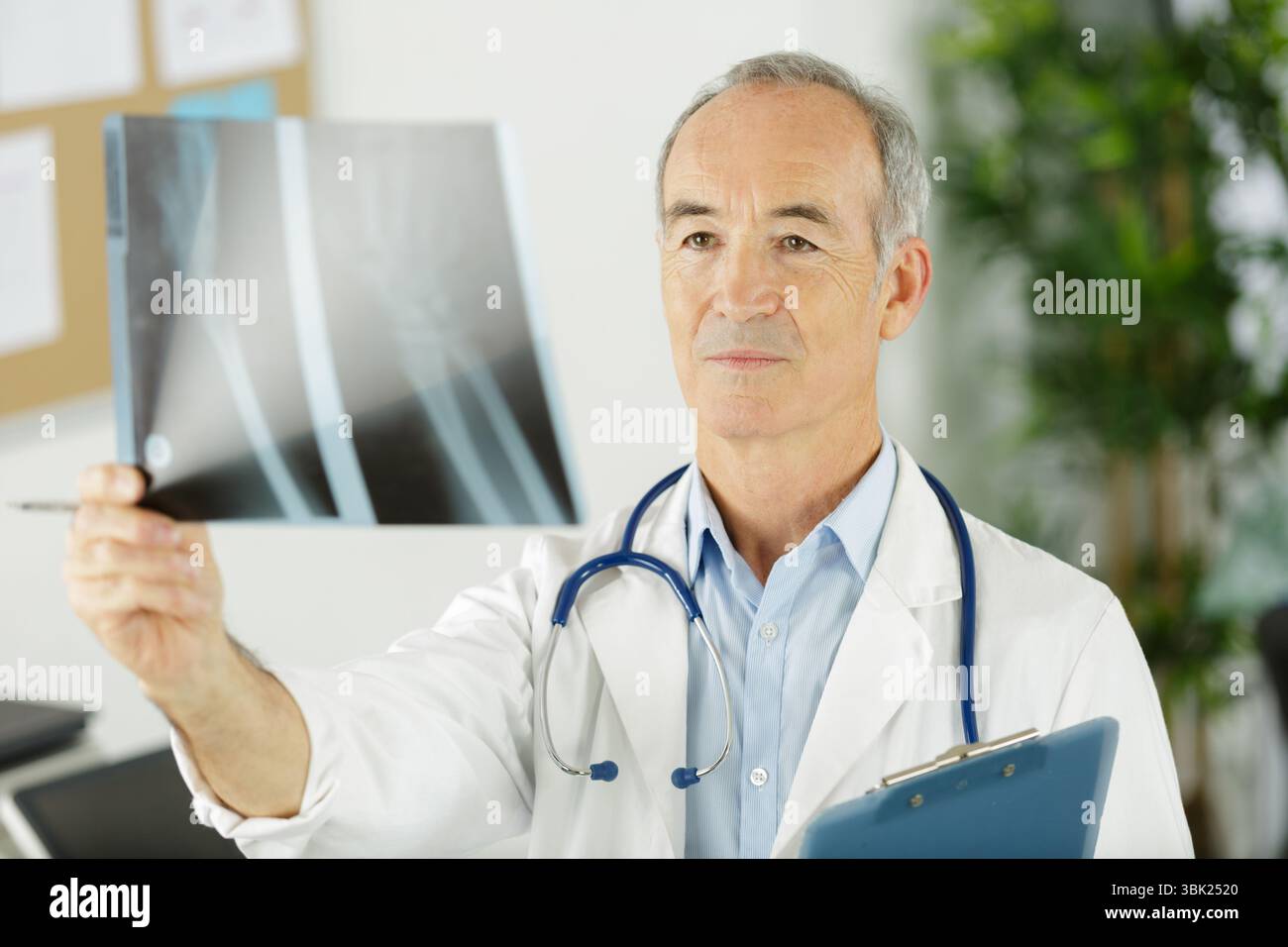 Senior männlicher Arzt mit Röntgenbild Stockfoto