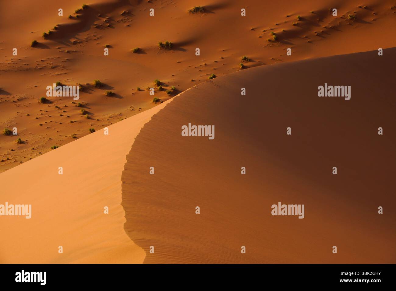 Nahaufnahme des scharfen Kamms der Düne 45, wo Licht und Schatten auf dem windgeformten Sand im Herzen der Namib-Wüste aufeinander treffen Stockfoto