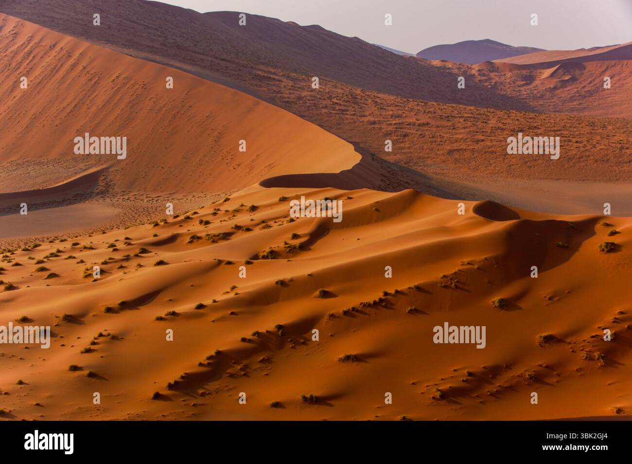 Licht und Schatten auf windgeformten Sanddünen mit Graten und Kämmen in der Namib-Wüste Stockfoto