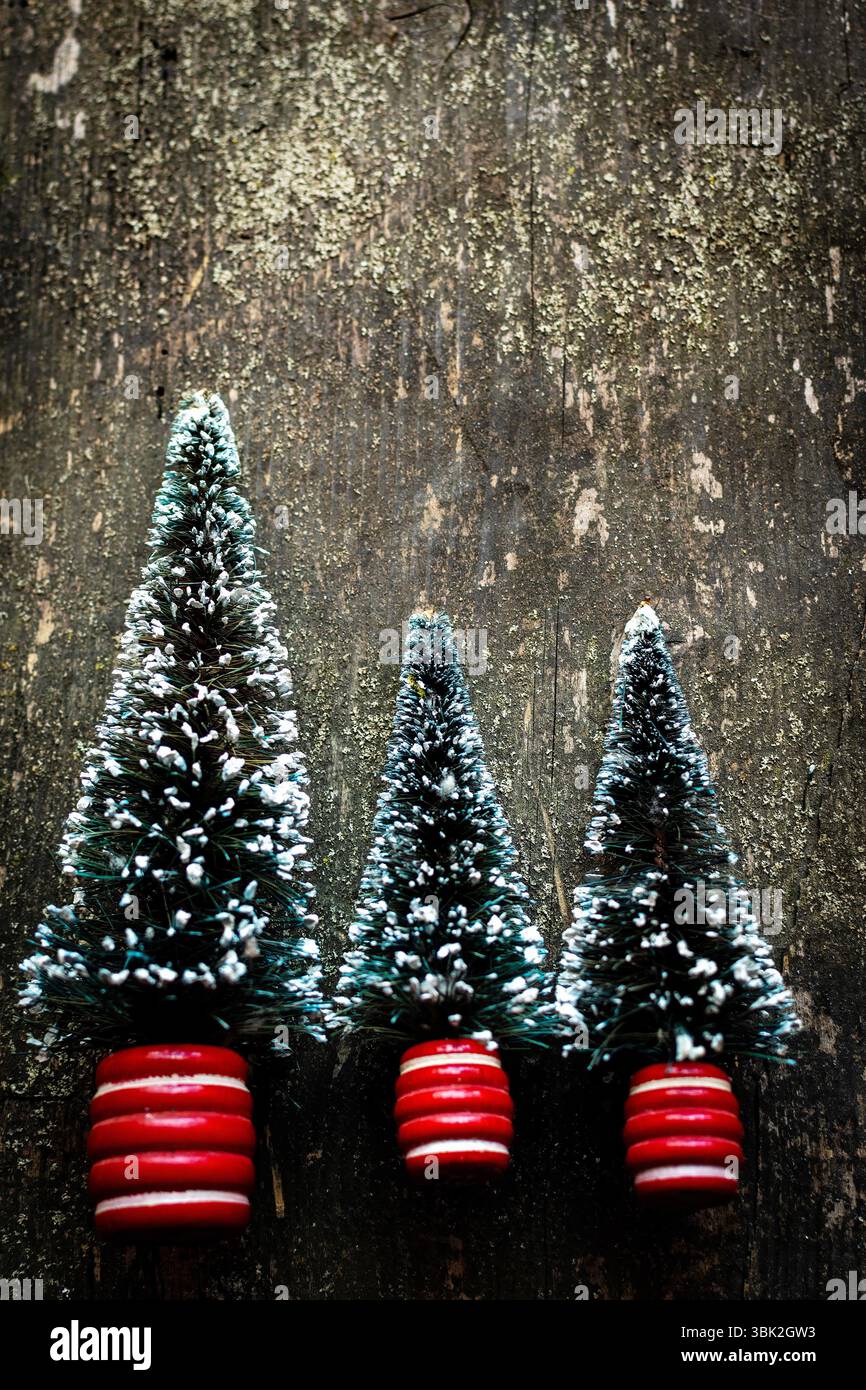Drei kleine Weihnachtsbäume mit schneeweißem Staub ruhen auf einer dunklen rustikalen Holzoberfläche Stockfoto