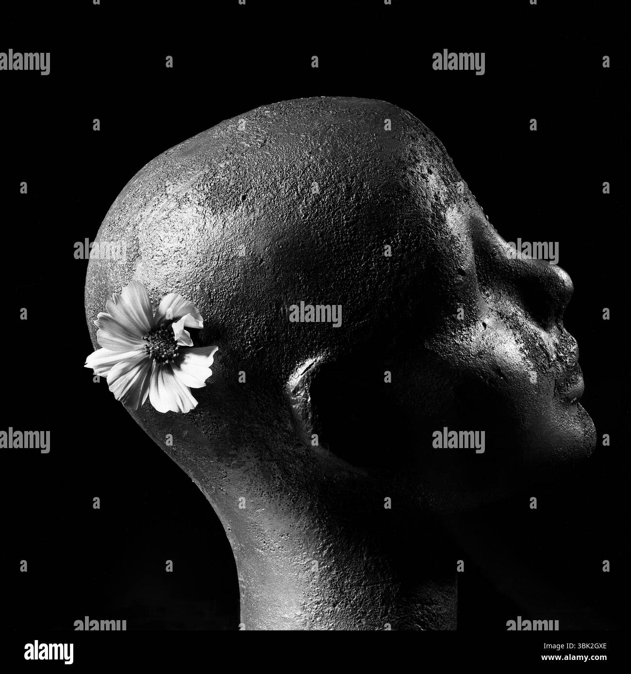 Ein geformter Puppenpuppenkopf hat eine abstrakte Form und eine strukturierte Oberfläche, wobei eine zarte Blume sanft hinter dem Ohr positioniert ist Stockfoto