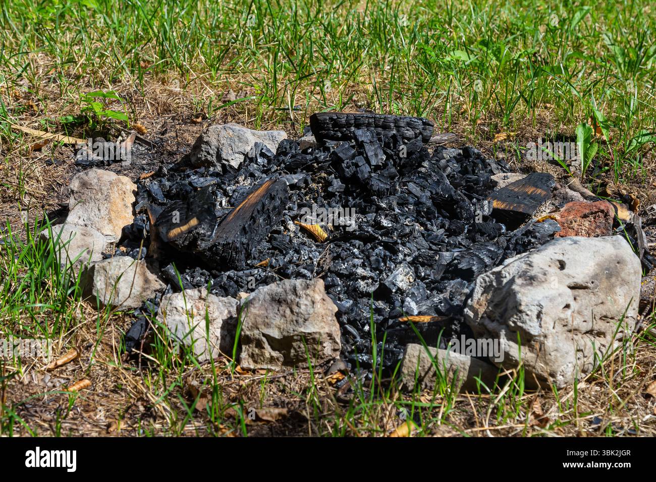 Verbranntes Holz und Asche verbleiben in einer kreisrunden Steinfeuerschale, die auf einem üppig grünen Rasen unter klarem blauem Himmel liegt. Das Gebiet zeigt Anzeichen von neuem Lagerfeuer A Stockfoto