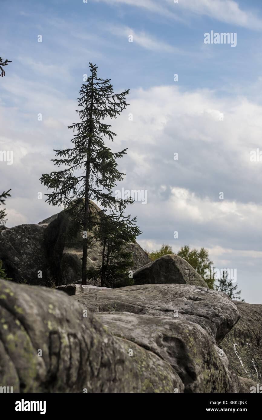 Ein einsamer immergrüner Baum erhebt sich aus zerklüfteten Felsen vor einem Hintergrund aus Wolken und blauem Himmel und schafft eine ruhige und ruhige Atmosphäre im Freien in der Natur. Stockfoto