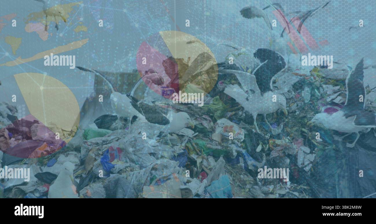 Möwen, die durch Müllhalden in der Küstenkippe picken, mit Plastikbeuteln, Flaschen und digitalen Überlagerungen Stockfoto