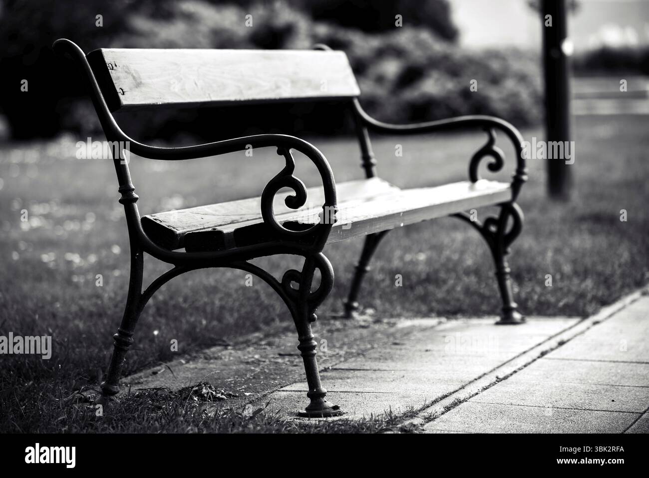 Stilvolle Sitzbank im Herbst Park Nahaufnahme Foto Stockfoto