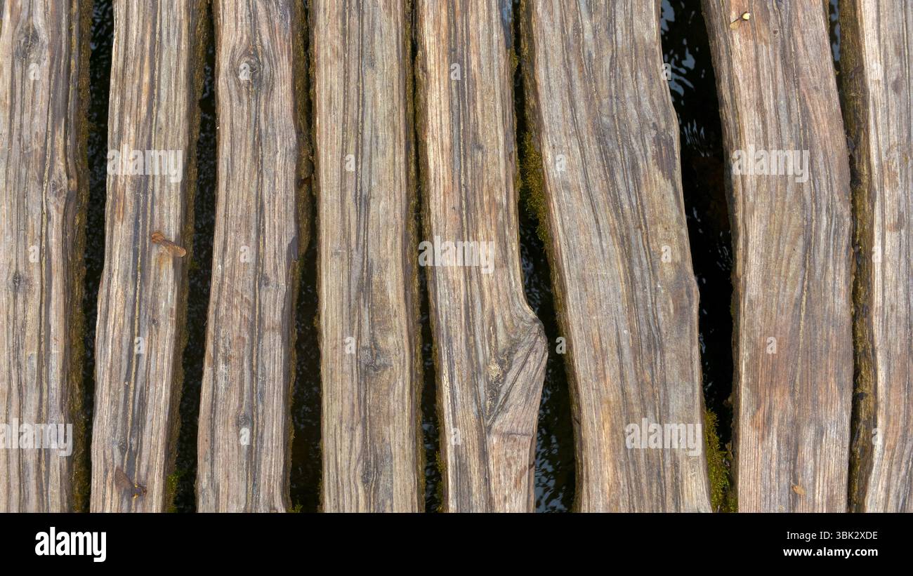 Nahaufnahme von Holzbodenpaneelen auf der Promenade Stockfoto