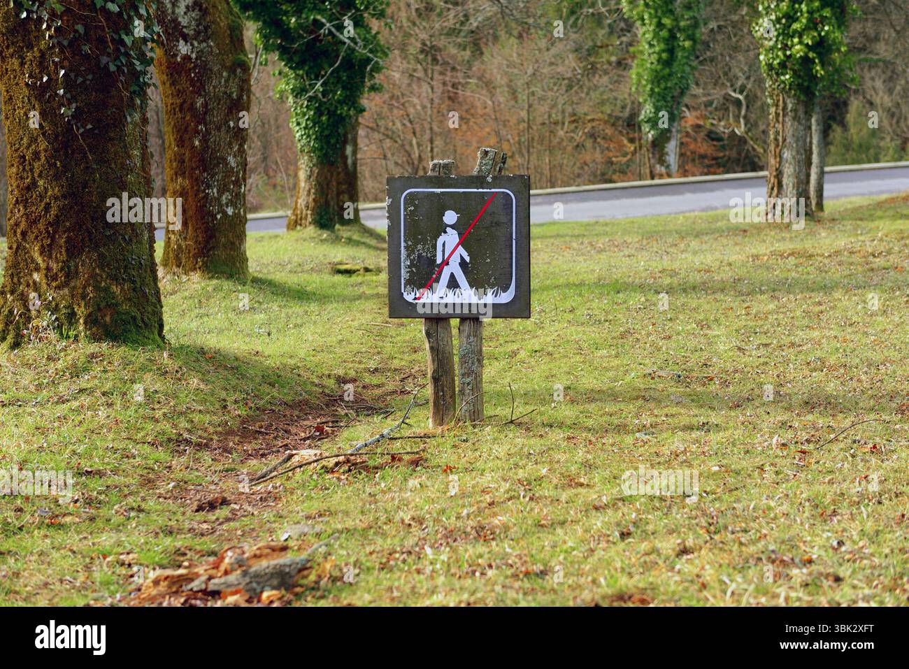 Treten Sie nicht auf das Grasschild draußen Stockfoto