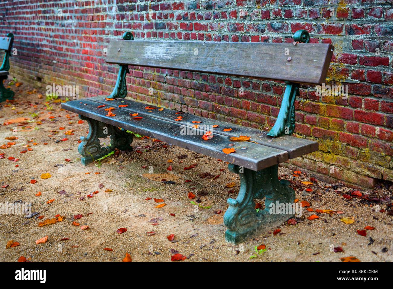 Holzbank im Park Nahaufnahme Foto Stockfoto