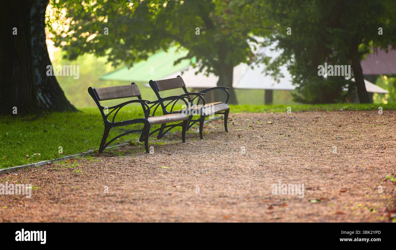 Stilvolle Sitzbank im Herbst Park Nahaufnahme Foto Stockfoto