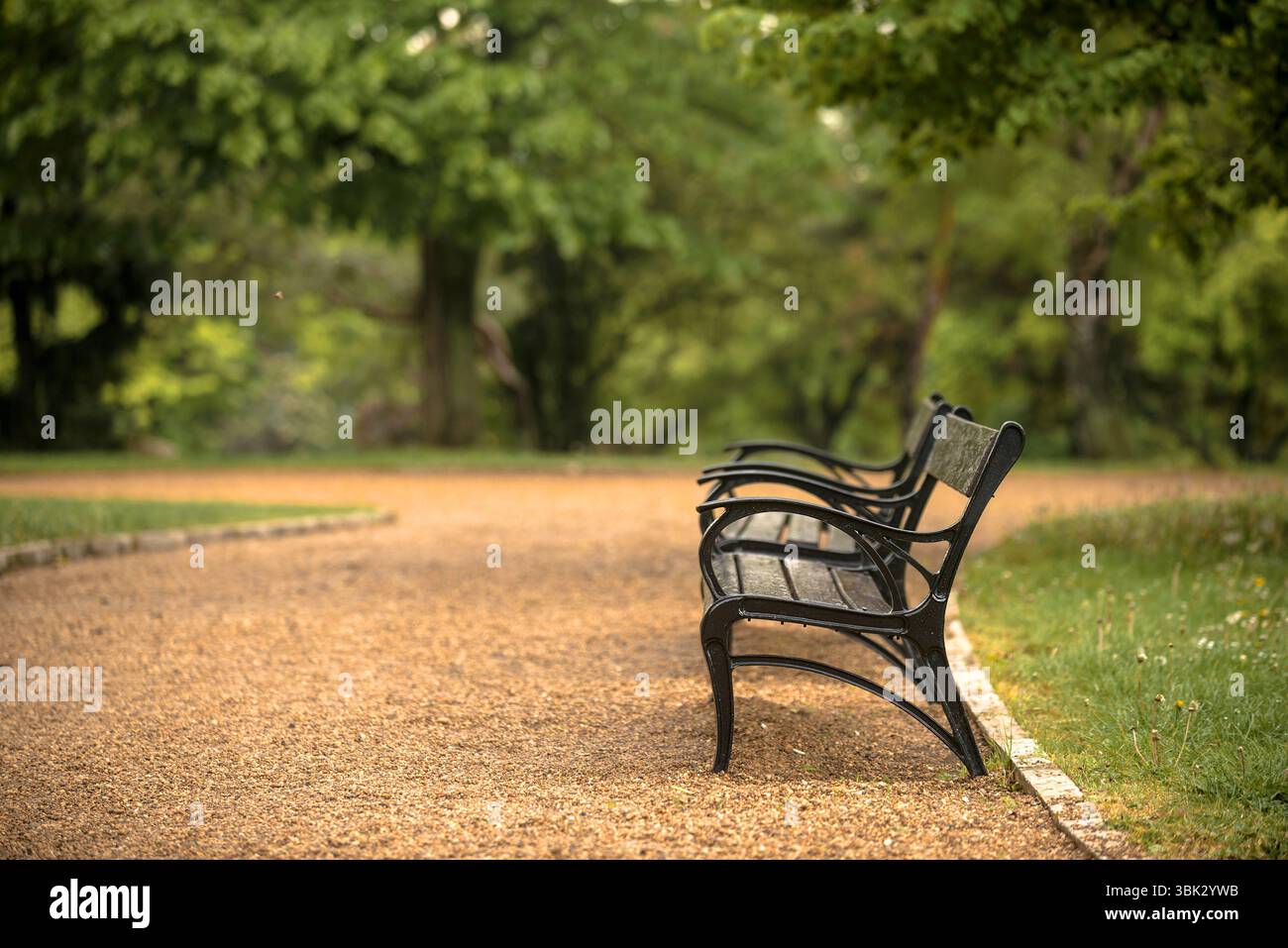Stilvolle Sitzbank im Herbst Park Nahaufnahme Foto Stockfoto