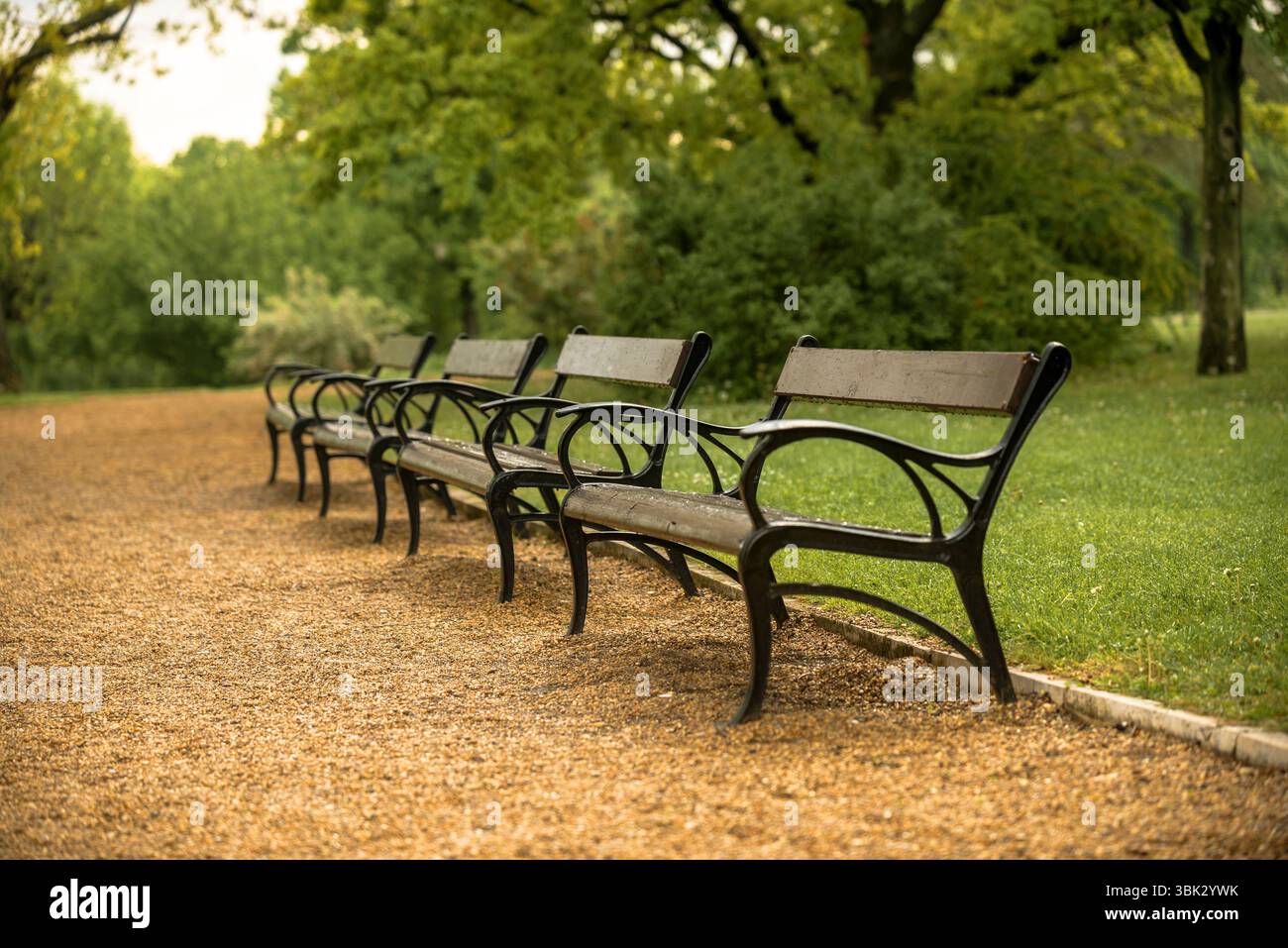 Stilvolle Sitzbank im Herbst Park Nahaufnahme Foto Stockfoto