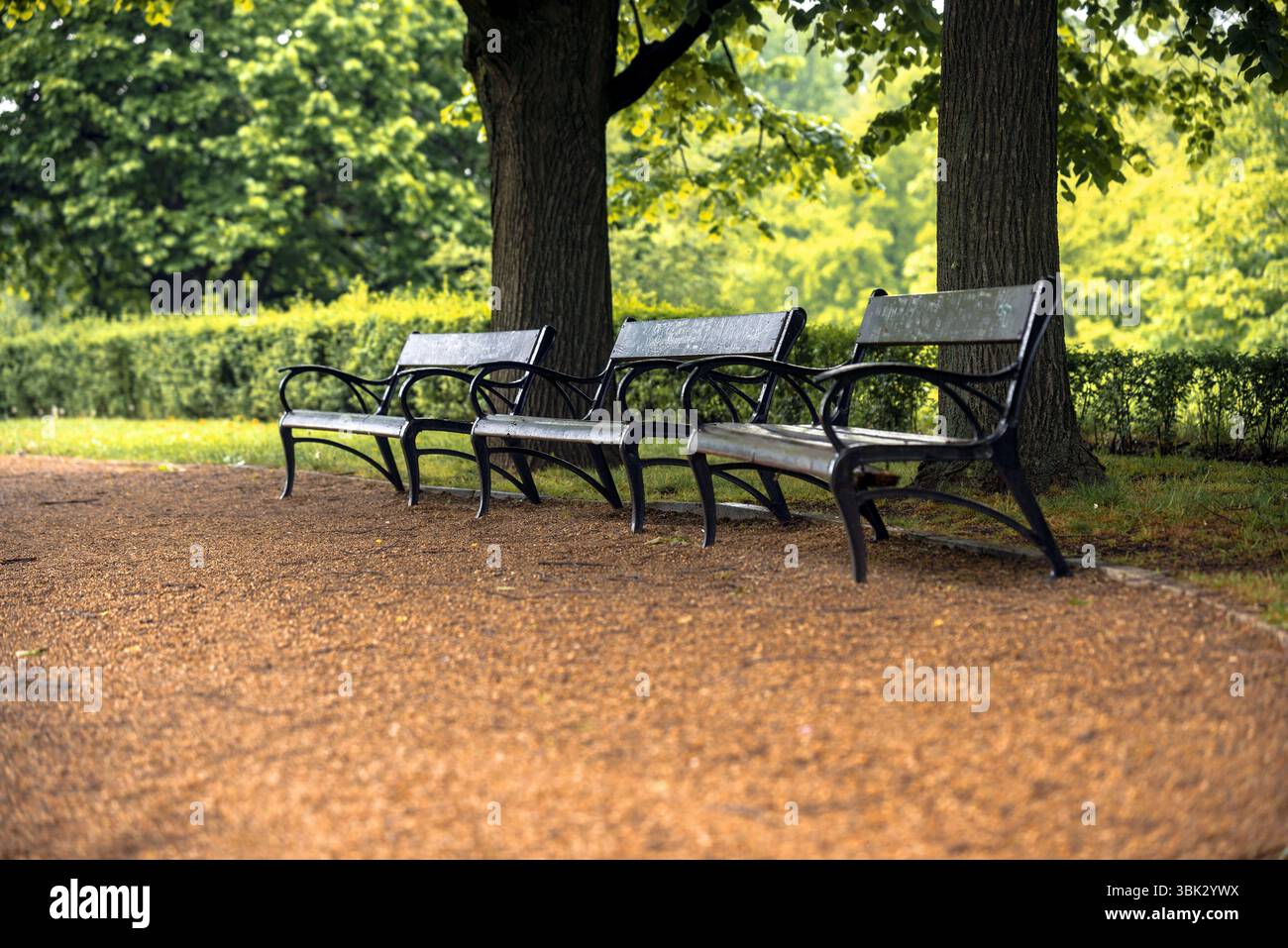 Stilvolle Sitzbank im Herbst Park Nahaufnahme Foto Stockfoto