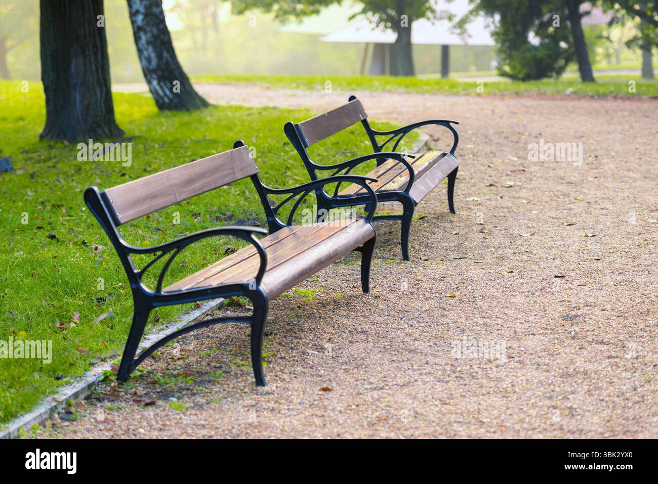 Stilvolle Sitzbank im Herbst Park Nahaufnahme Foto Stockfoto
