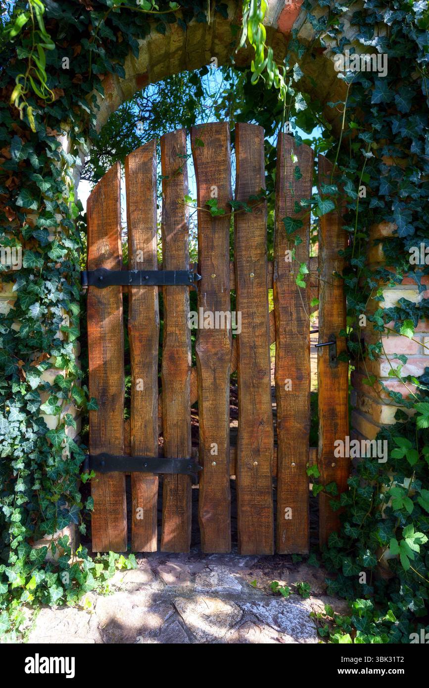 Alte Holztür auf dem Nahaufnahme-Foto im Garten Stockfoto