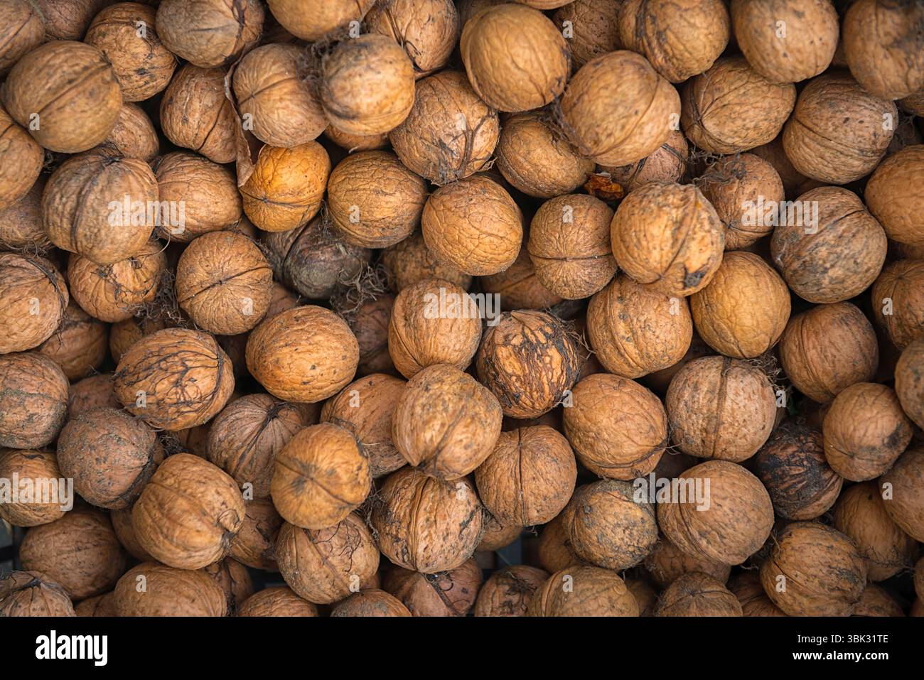 Viele Nüsse Hintergrundstruktur Nahaufnahme Foto Stockfoto