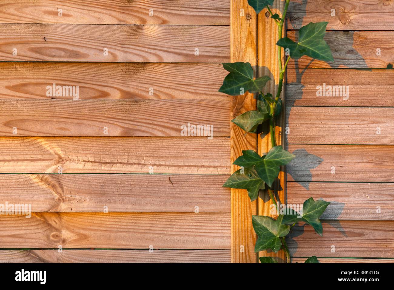 Braunes Holzzaun Nahaufnahme Foto als Hintergrund Stockfoto