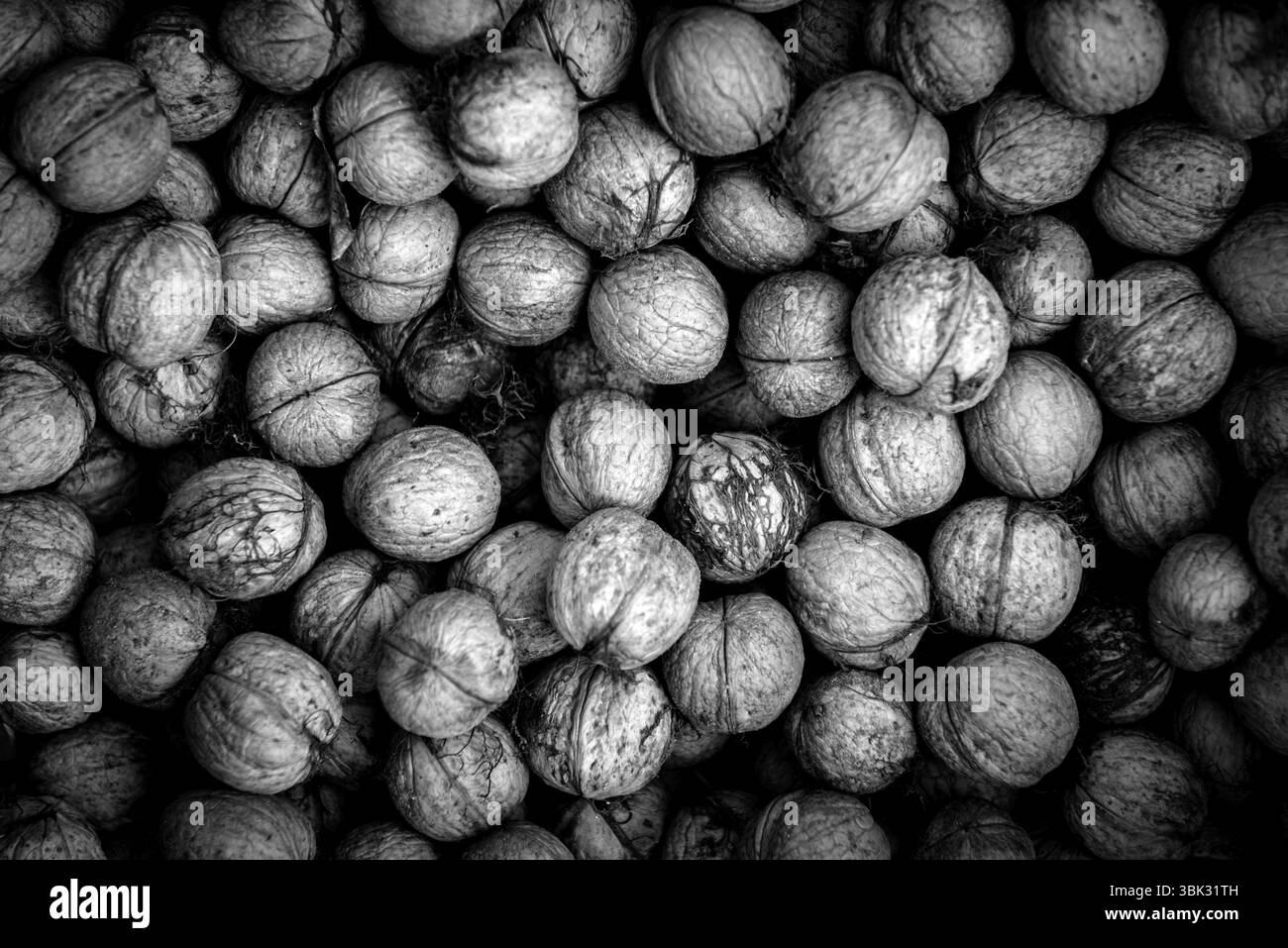 Viele Nüsse Hintergrundstruktur Nahaufnahme Foto Stockfoto