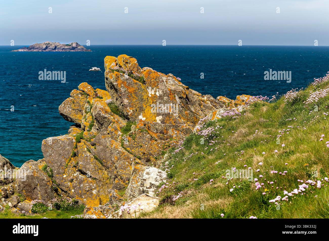 Farbenfroher Blick auf die Küste von Cornish im Sommer über den Atlantik bis zum Gulland Rock mit Thrift und Flechten Encrusted Rocks. Stockfoto Farbenfroher Blick auf die Küste von Cornish im Sommer über den Atlantik bis zum Gulland Rock mit Thrift und Flechten Encrusted Rocks. Stockfoto