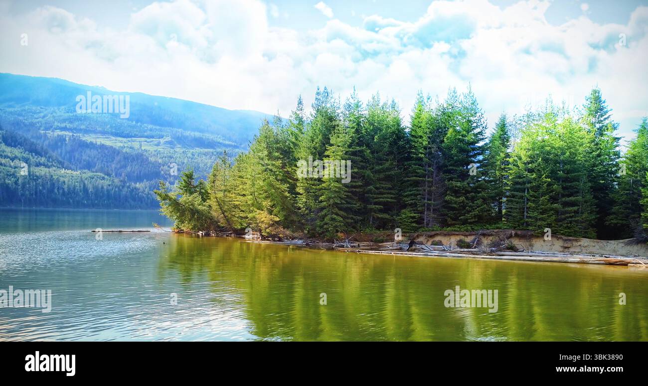 Flache Illustration zeigt grünen See mit Treibholz und immergrüne Halbinsel in der Nähe von Bergen Stockfoto Flache Illustration zeigt grünen See mit Treibholz und immergrüne Halbinsel in der Nähe von Bergen Stockfoto