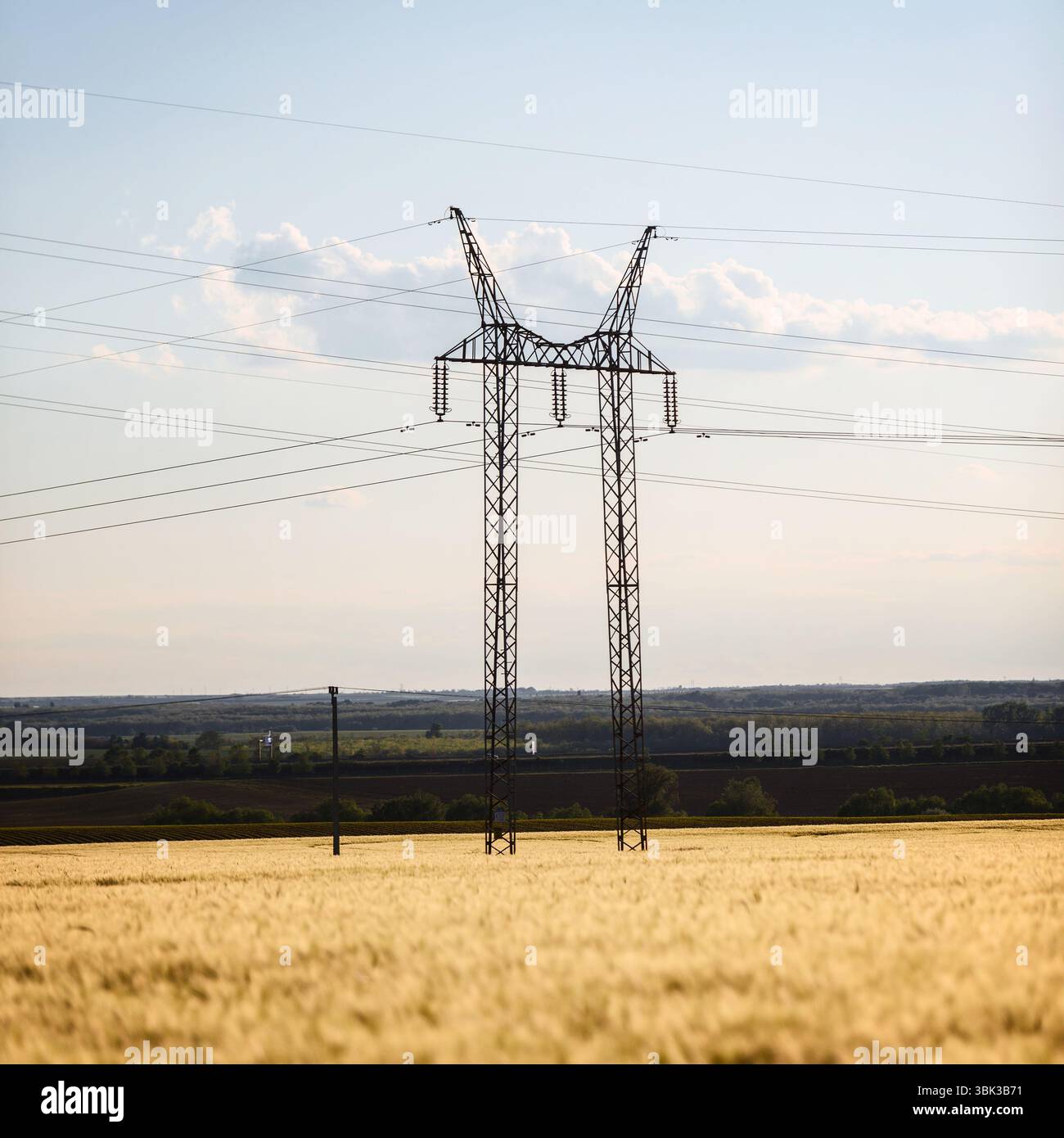 Großer Sendeturm mit goldenem Feld und Himmel Stockfoto