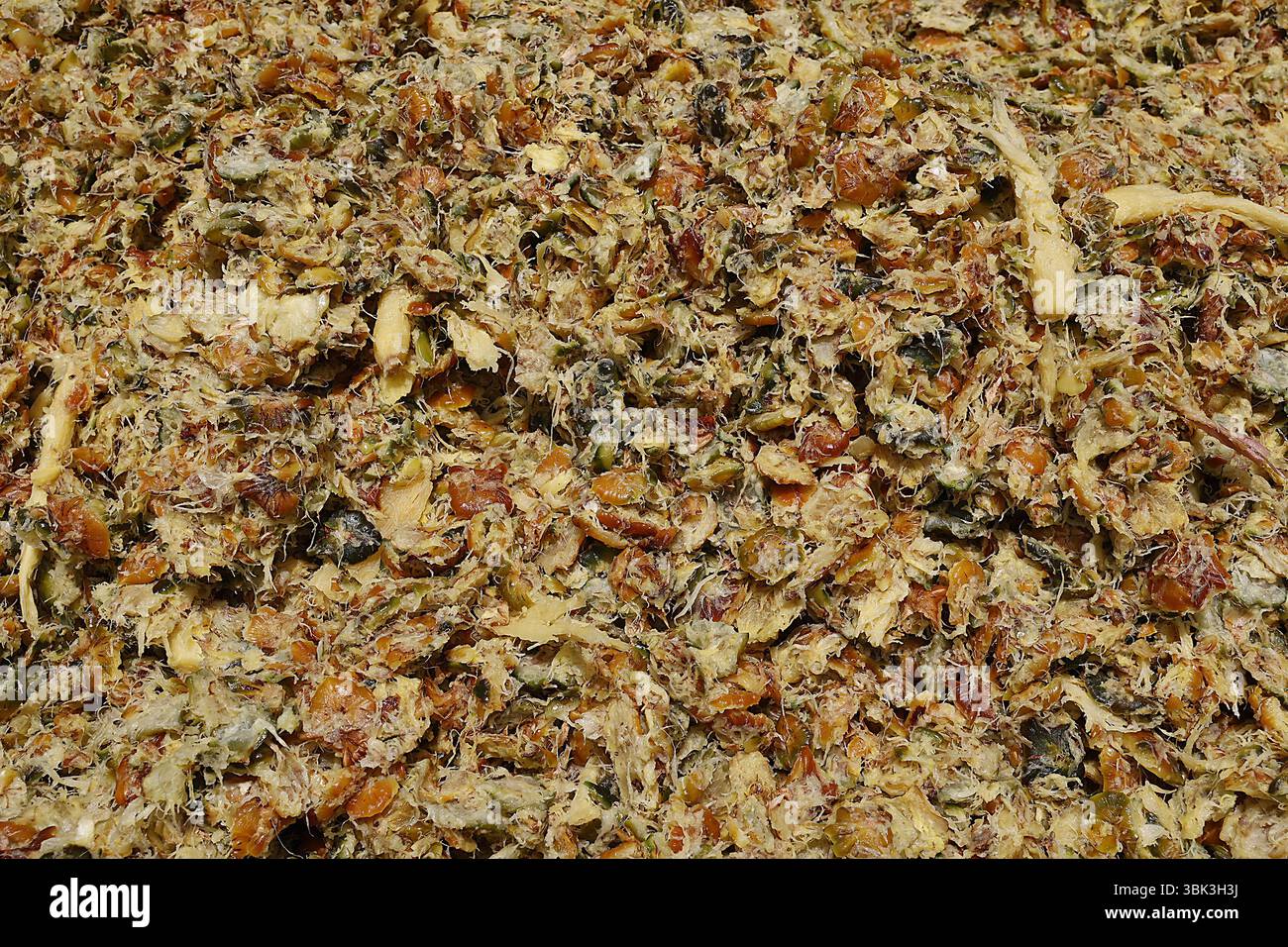 Abfallrecycling der Fruchtsaftfabrik in Allada, Benin Stockfoto