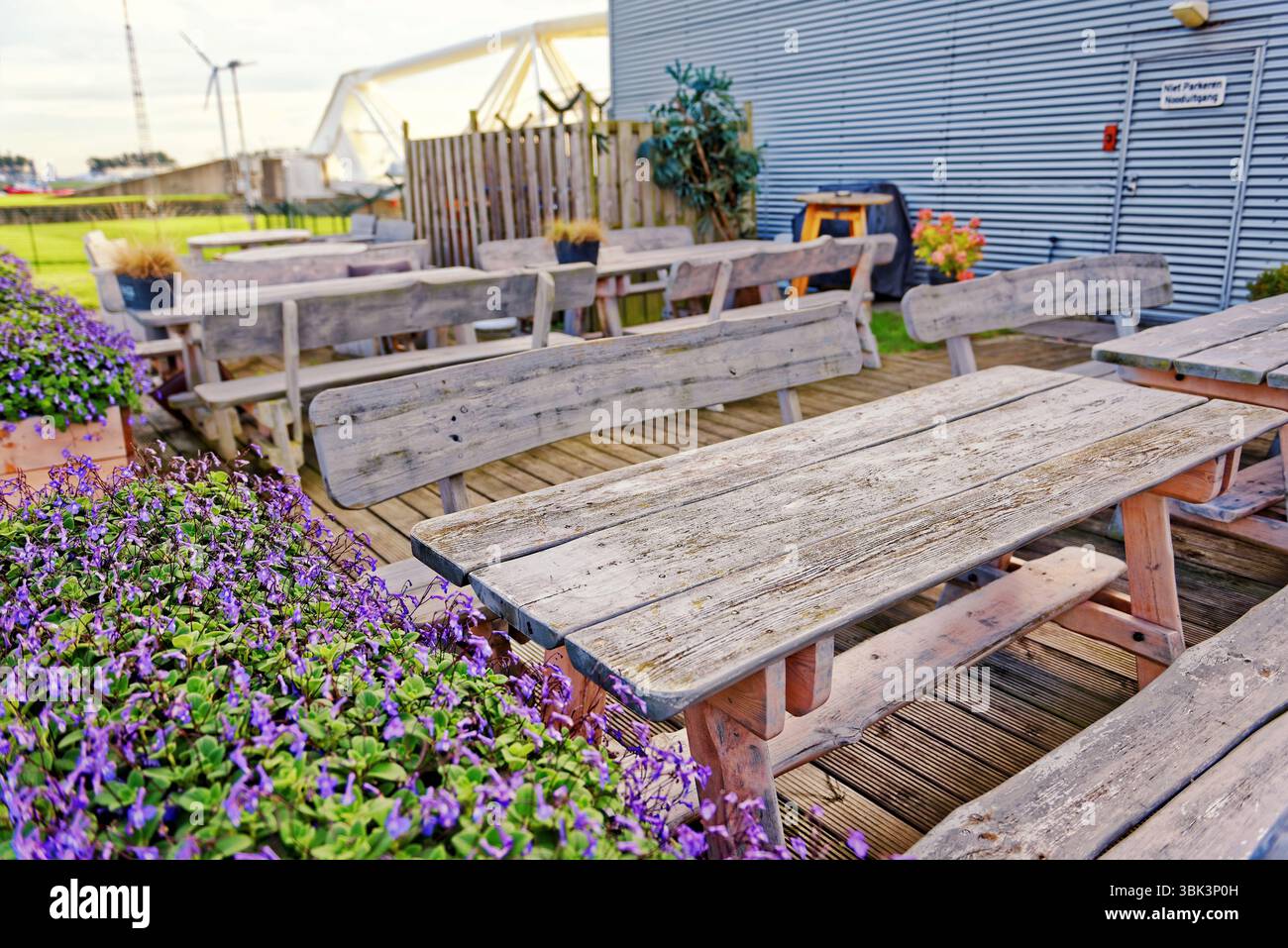 Stilvolle Bank im Park Nahaufnahme Foto Stockfoto