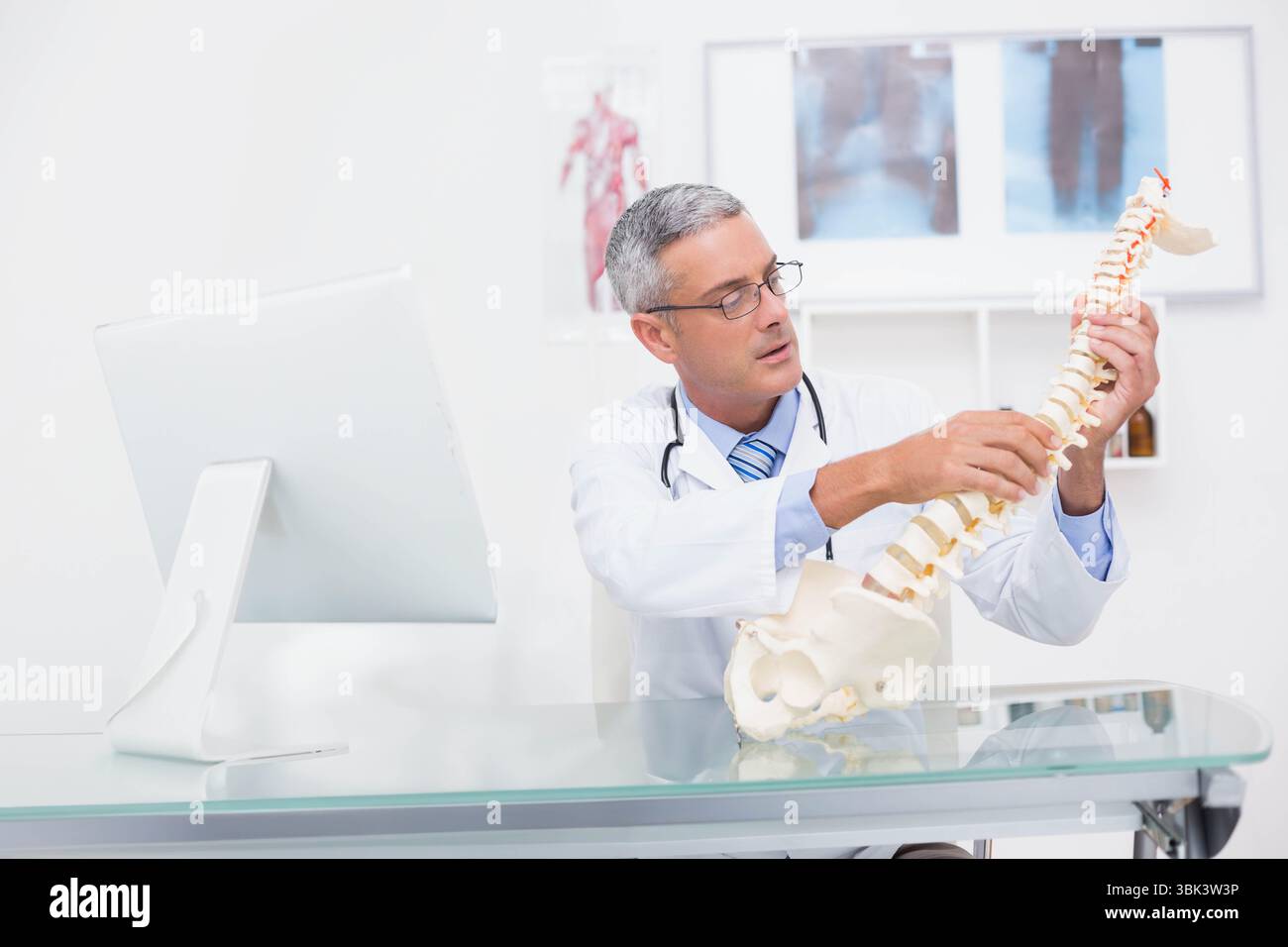 Mann mittleren Alters mit Laborkittel zur Untersuchung des Wirbelsäulenmodells am Glastisch in der Klinik Stockfoto