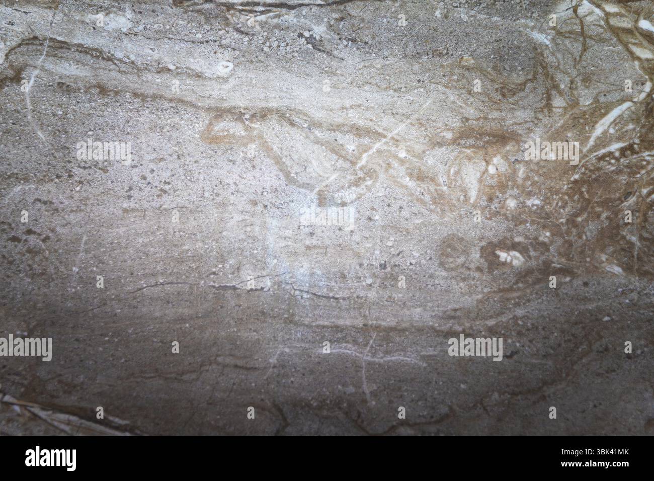 Natürliche beige-graue Steintextur mit einzigartigen Mineralmustern und Oberflächenfehlern. Ideal für Hintergründe, Architekturdesign, 3D-Rendering, an Stockfoto