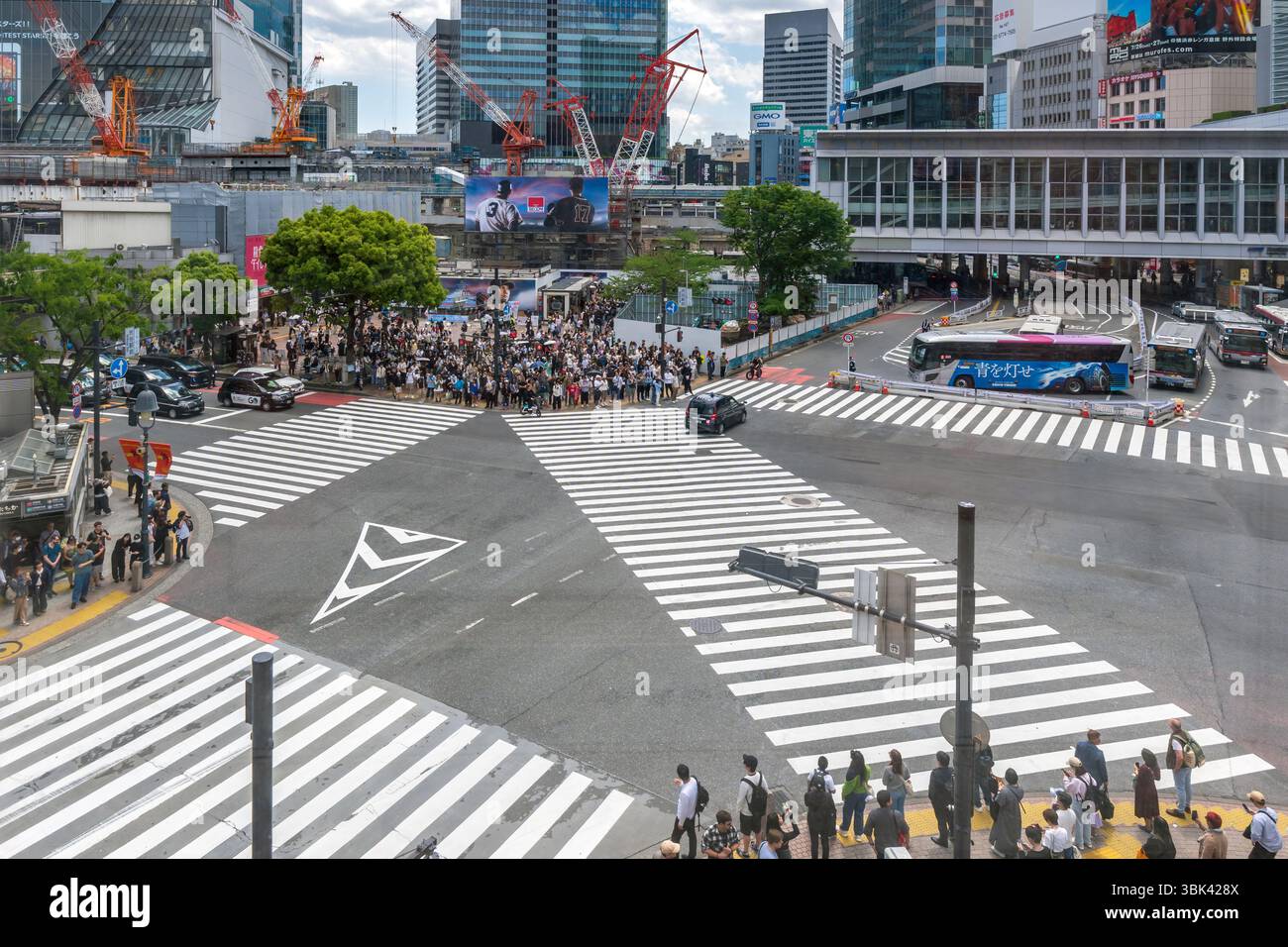 Die berühmte Fußgängerzone Shibuya kreuzt am Hachiko-Platz in Shibuya in Tokio. Stockfoto