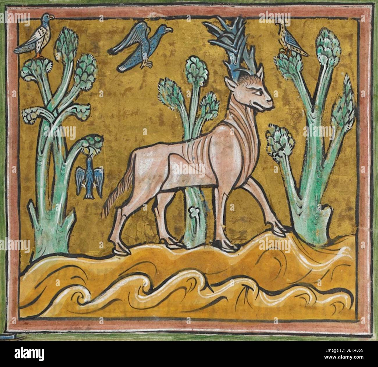Rochester Bestiary - Parandrus - C1230 Stockfoto