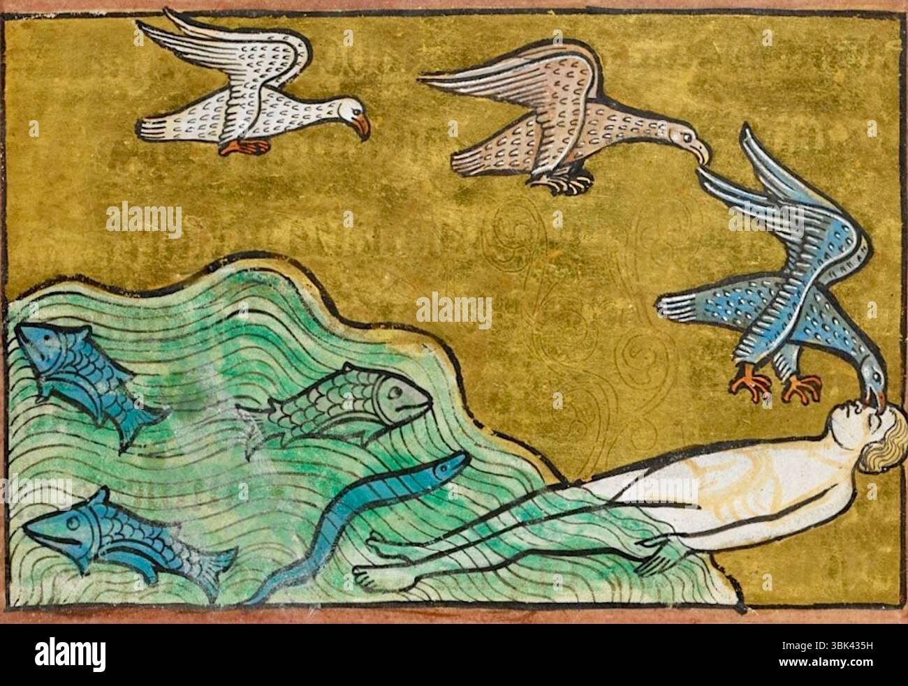 Rochester Bestiary - Caladrius - C1230 Stockfoto