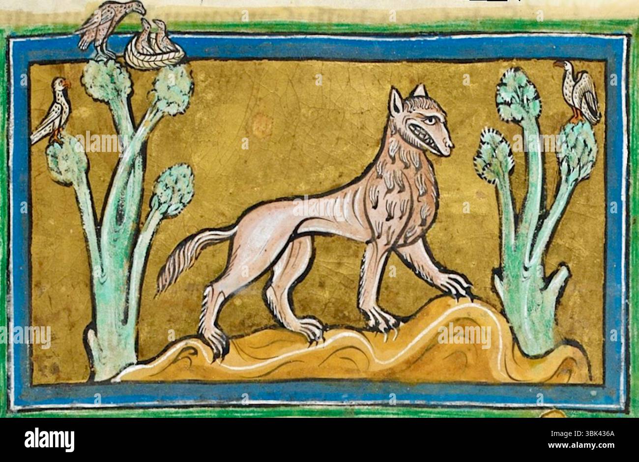 Rochester Bestiary - Leucrote - C1230 Stockfoto