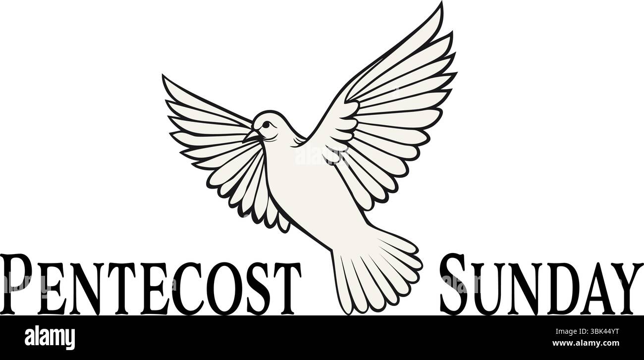 Illustration einer weißen Taube mit ausgebreiteten Flügeln, die den Heiligen Geist symbolisieren, begleitet von dem Text Pfingstsonntag. Ideal für kirchliche Veranstaltungen, Religio Stock Vektor