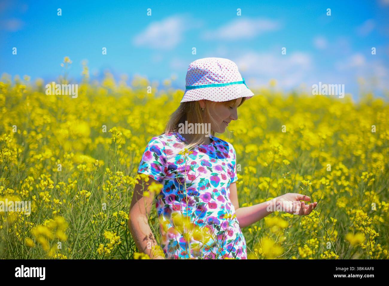 Mädchen mit Hut genießt ein Feld mit gelben Blumen an einem hellen Sommertag. Stockfoto