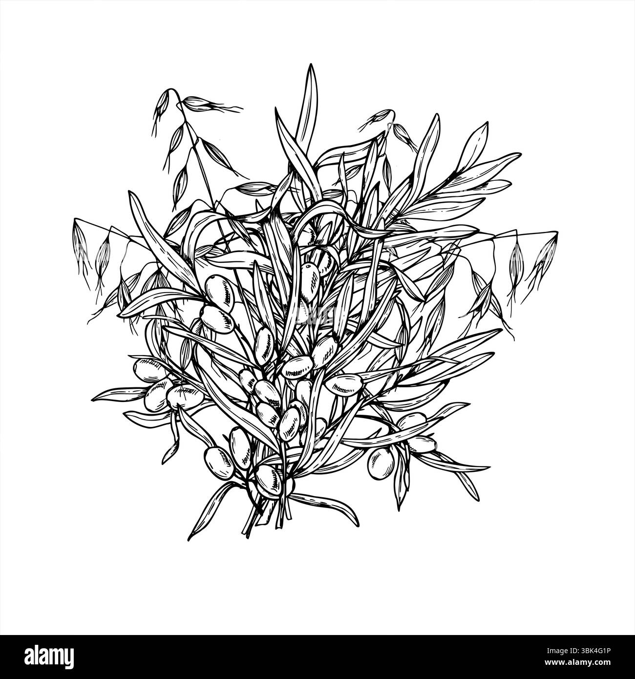 Monochromes Vektorstrauß von Sanddorn- und Wildhaferzweigen. Saftige Herbstbeeren mit schwarzen Farben bemalten Blättern. Für Beauty-Branding Stock Vektor