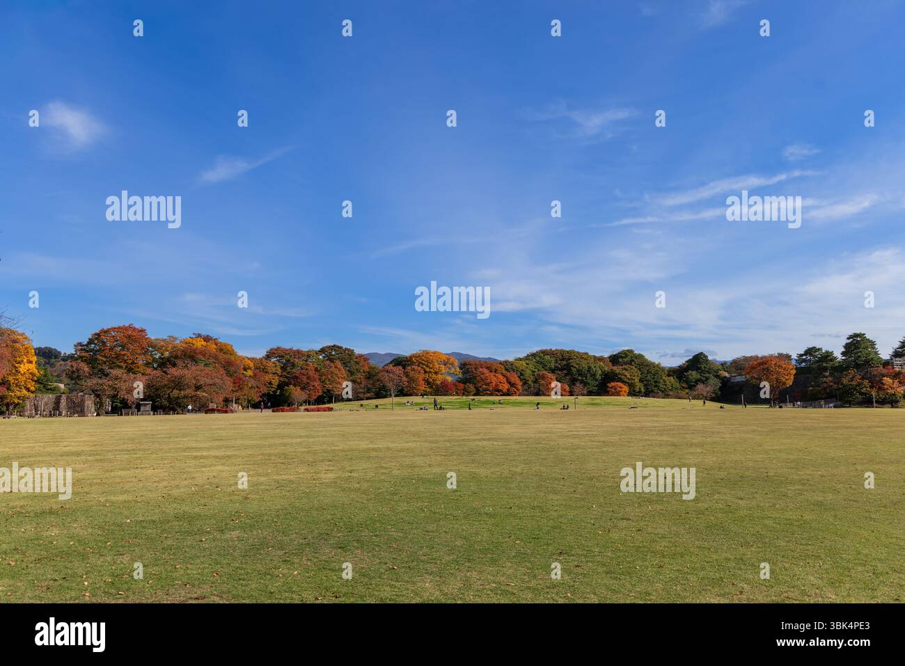 Das weite offene Feld in Shinmaru Hiroba im Kanazawa Castle Park, Japan, bietet lebhaftes Herbstlaub und weit entfernte Besucher unter einem klaren blauen Himmel, der de einfängt Stockfoto