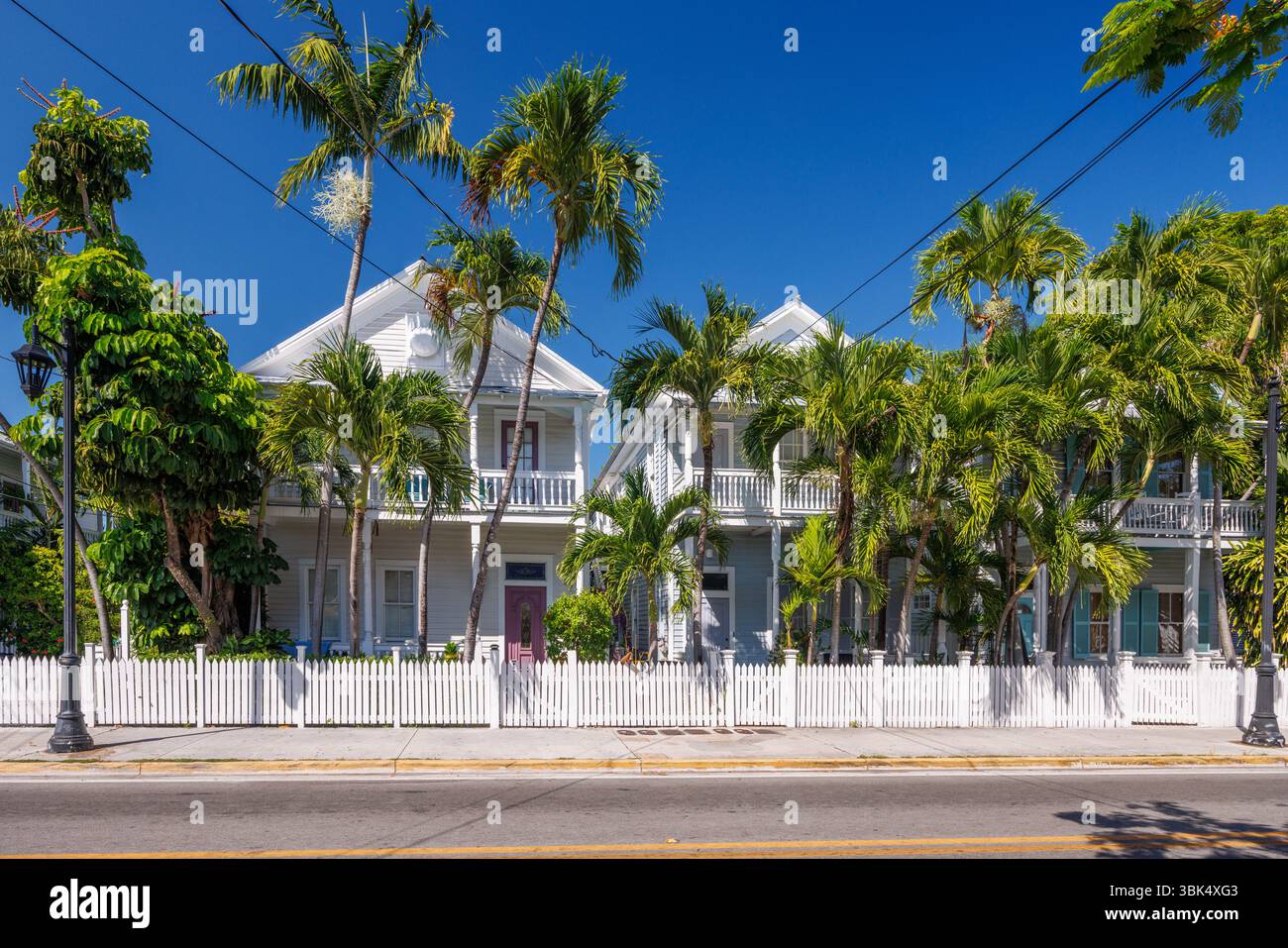 Charmante Key West Street gesäumt von Palmen und klassischer Architektur unter sonnigem Himmel Stockfoto
